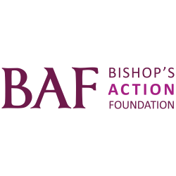 baf logo primary colour v4