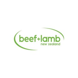 beef + lamb